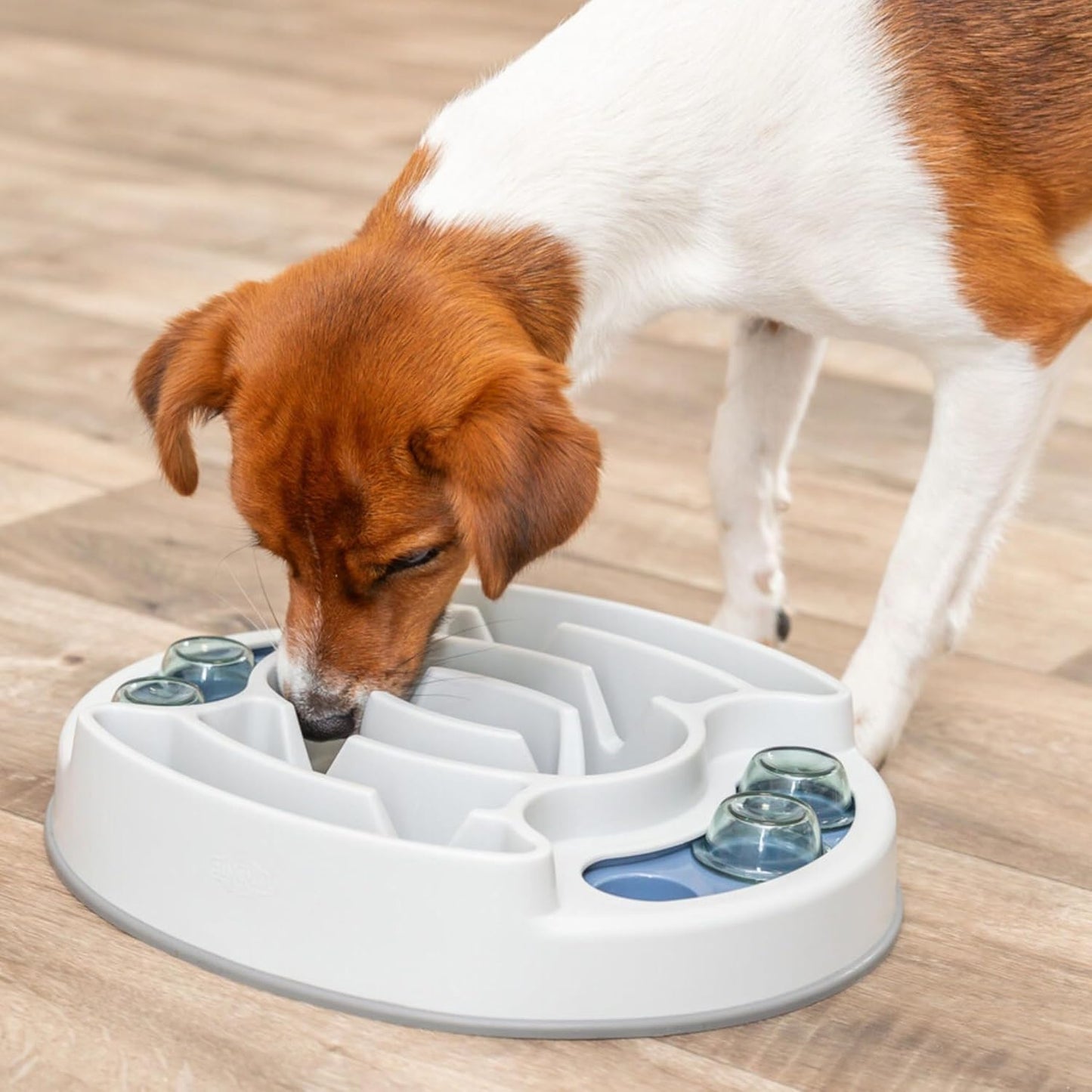 Engage Your Dog's Mind with the Slide & Feed Interactive Treat Dispenser Toy - Level 1 Puzzle Game for All Breeds
