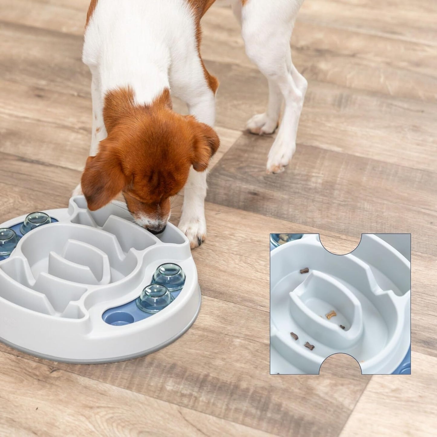 Engage Your Dog's Mind with the Slide & Feed Interactive Treat Dispenser Toy - Level 1 Puzzle Game for All Breeds