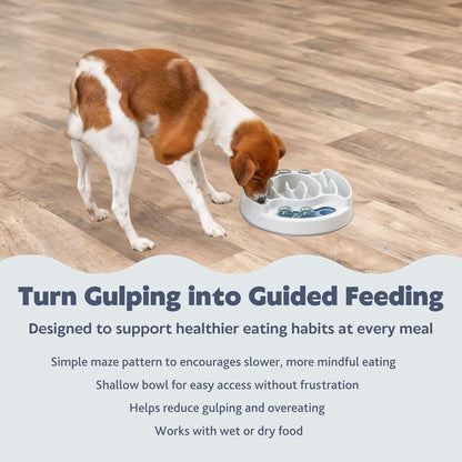 Engage Your Dog's Mind with the Slide & Feed Interactive Treat Dispenser Toy - Level 1 Puzzle Game for All Breeds